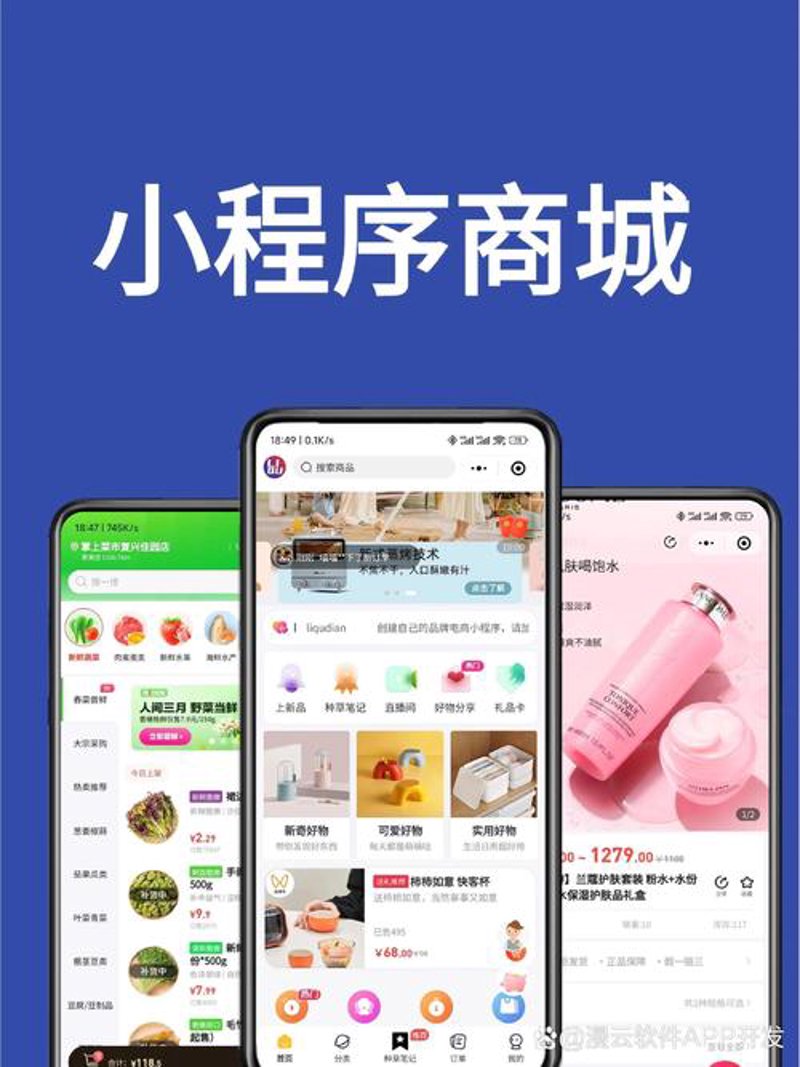 手机网站：构建无缝连接未来窗口